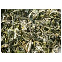 White Monkey Biela opica