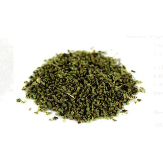 Zihlava_-_Prhlava_Dvojdoma_Semeno_Urtica_dioica