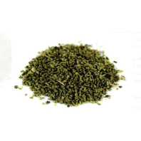 Zihlava_-_Prhlava_Dvojdoma_Semeno_Urtica_dioica