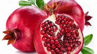 Granátovník obyčajný - Granátové Jablko (Punica granatum)
