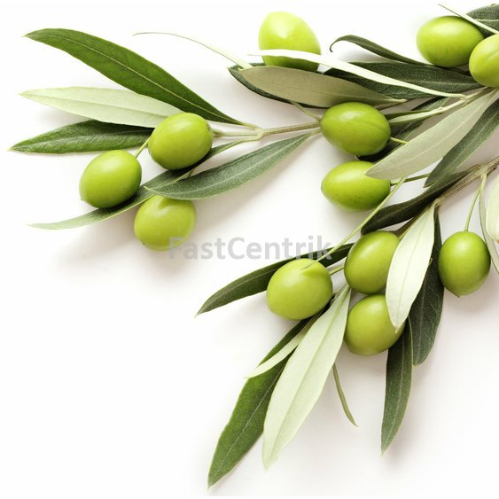 oliva herb.jpg