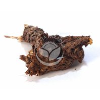 Čiernohlávok obyčajný -  Xia Ku Cao - Klas 1kg  (Prunella vulgaris)