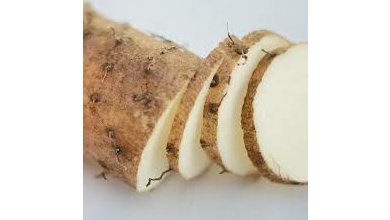 Dioscorea batatas