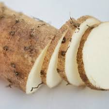 Dioscorea batatas
