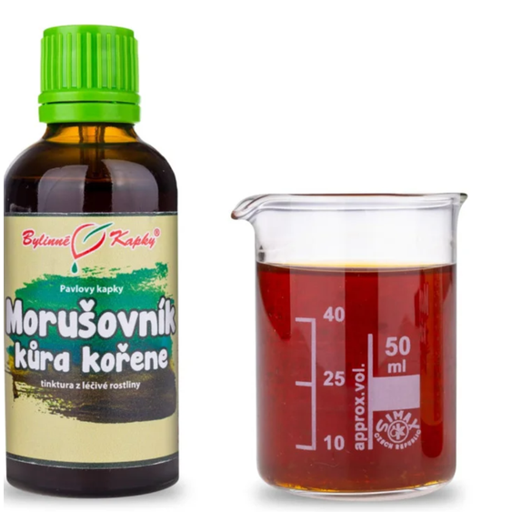 Morusa_biela_Kora_Korena_Kvapky_-_Tinktura_50ml_Morus_alba