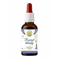 Veronika_Lekarska_Bezalkoholova_Tinktura_50ml_Veronica_officinalis