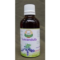 Levanduľa - Alkoholová Tinktúra 50 ml (Lavandula angustifolia)