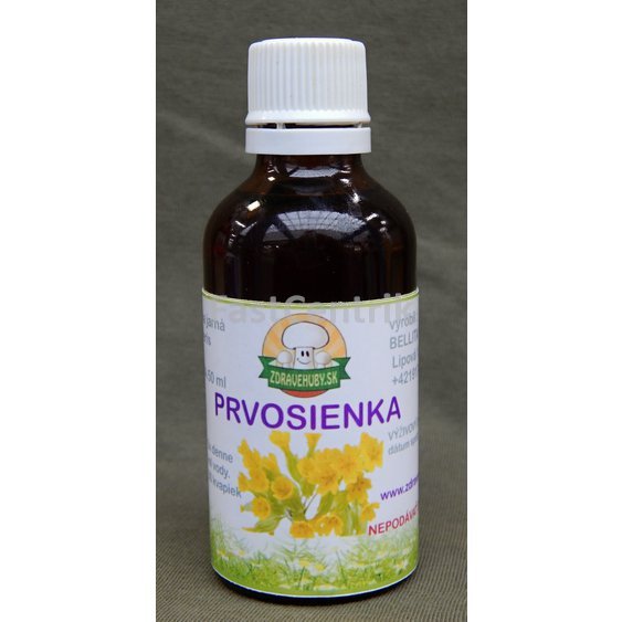 prvosienka.JPG