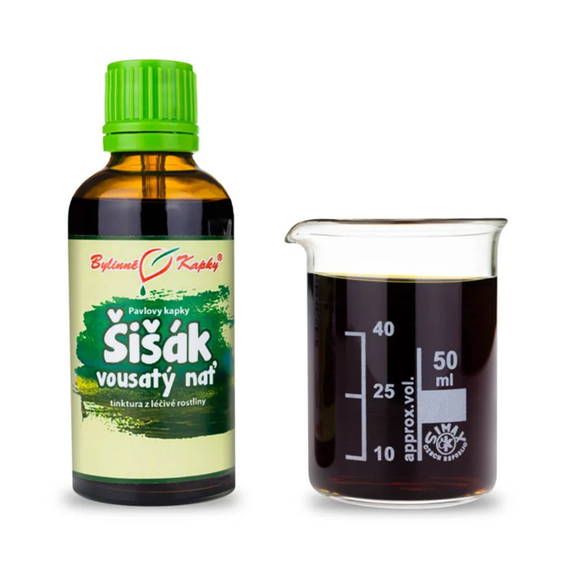 Šišak fúzatý BAN ZHI LIAN Kvapky - Tinktúra 50ml (Scutellaria barbata).png
