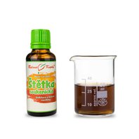 Štetka Siata/Soukenická Kvapky - Tinktúra 50ml (Dipsacus sativus)