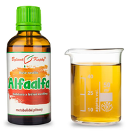 Alfaalfa_-_Lucerna_Siata_Kvapky_-_Tinktura_50_ml_Medicago_sativa