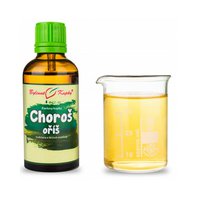 Choroš - Polyporus Umbellatus Kvapky - Tinktúra 50ml (Trúdnik klobúčkatý)