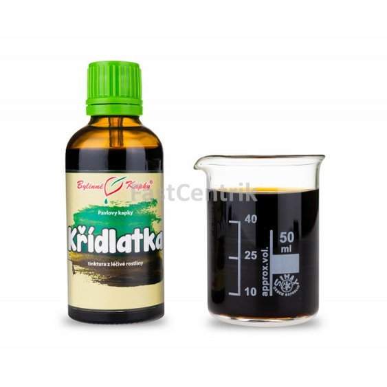Krídlatka Japonská Kvapky - Tinktúra 50 ml Pohánkovec japonský Polygonum cuspidatum.jpg