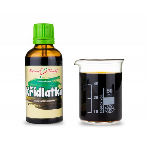 Krídlatka Japonská Kvapky - Tinktúra 50 ml Pohánkovec japonský Polygonum cuspidatum.jpg