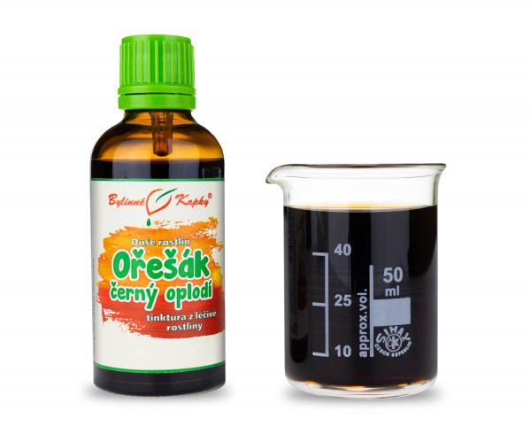 Orech Čierny Oplodie Kvapky - Alkoholová Tinktúra 50ml (Juglans nigra)