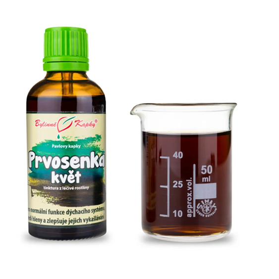 Prvosienka Jarná Alkoholová Tinktúra (Primula veris).png