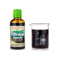 Skorocel Kopijovitý  Alkoholová Tinktúra 50ml (Plantago lanceolata)