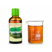 Agastache Kvapky - Tinktúra 50 ml (Agastache rugosa)