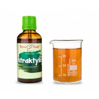 Atraktylis Kvapky - Tinktúra 50 ml (Atractylodes macrocephala) Atraktylis Kvapky - Tinktúra 50 ml (Atractylodes macrocephala)