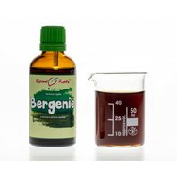 Bergénia Tučnolistá (Badan) Kvapky - Tinktúra 50 ml (Bergenia crassifolia