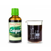 Caihua Caigua - Ačokča Kvapky - Tinktúra 50ml (Cyclanthera pedata)