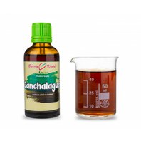 Canchalagua Kvapky - Tinktúra 50ml (Schkuhria pinnata) Canchalagua Kvapky - Tinktúra 50ml (Schkuhria pinnata)