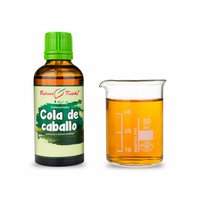 Cola de caballo Kvapky - Tinktúra 50ml (Equisetum giganteum) Cola de caballo Kvapky - Tinktúra 50ml (Equisetum giganteum)