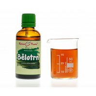 Ježibaba Guľatohlavá Kvapky - Tinktúra 50 ml (Echinops sphaerocephalus) Ježibaba Guľatohlavá Kvapky - Tinktúra 50 ml (Echinops sphaerocephalus)