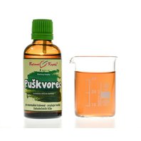 Puškvorec Obyčajný Kvapky - Tinktúra 50 ml (Acorus calamus) Puškvorec Obyčajný Kvapky - Tinktúra 50 ml (Acorus calamus)