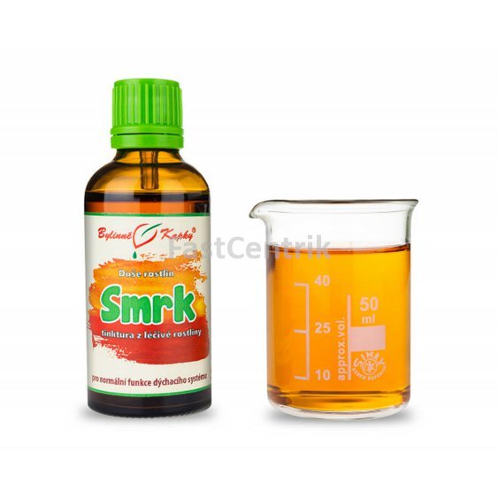 smrek obyčajný kvapky tinktúra.jpg