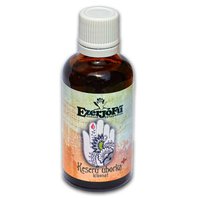 Horká Tekvička Plus Extrakt 50ml (Momordica charantia L.)