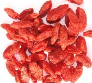 GOJI- Kustovnica čínska (Lycium chinense)