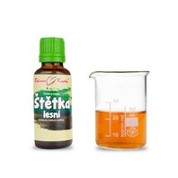 Štetka Lesná Kvapky - Tinktúra 50ml (Dipsacus fullonum)