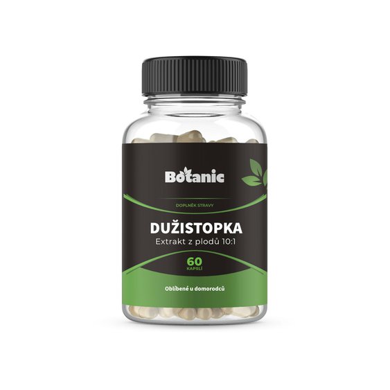 Dužistopka sladká - Extrakt z plodov 10k1 Kapsule 60ks (Hovenia Dulcis).jpg