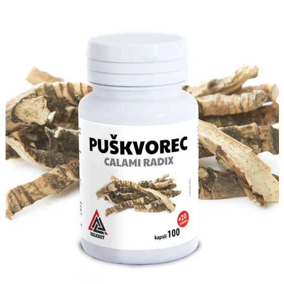 Puskvorec_Obycajny_Koren_-_Kapsule_100_ks_Acorus_calamus