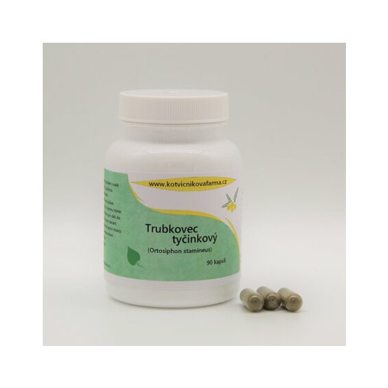 Trubkovec_tycinkovy_klasnaty_-_Kapsule_90ks_Orthosiphon_Aristatus_Stamineus_