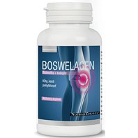 Boswelagen Kapsule 60 ks (Boswellia serrata + Kolagén)