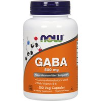 GABA Kapsule 100ks (Kyselina Gama-Aminomaslová)