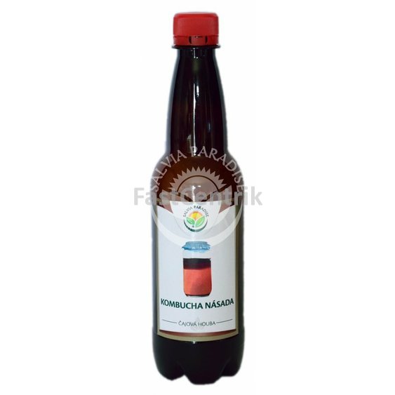 kombucha bal.jpg