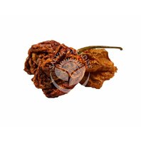 Chilli Carolina Reaper - Plod Celé Papričky 1kg