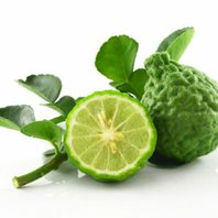 Bergamot Olej - Silica 10ml (Citrus Bergamia)