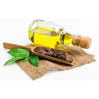 Čajovník Čínsky - Olej zo Semien 100 ml (Camellia Sinensis)