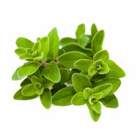 Majoránka Olej - Silica 10 ml (Origanum Majorana)