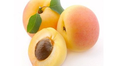 Marhuľa (Armeniaca Vulgaris)