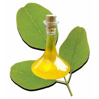Moringa Olejodárna Olej 100 ml BIO (moringa oleifera)
