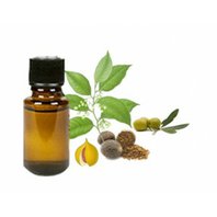 Muškátový Orech Olej 10ml (Myristica fragrans)