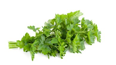 Petržlen Záhradný (Petroselinum crispum)