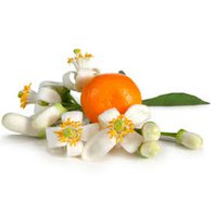 Pomarančovník Horký Kvet - Neroli Olej - Silica 1ml  (Citrus aurantium)