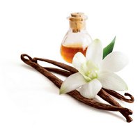 Vanilka Olej - Silica 15% 5 ml (Vanilla planifolia)