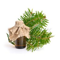 Smrek Obyčajný Olej - Silica 10ml (Picea abies)